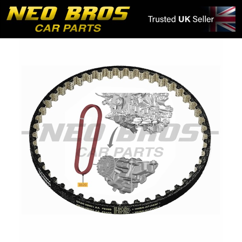 OE Oil Pump Belt, Ford Tourneo Custom 2.0 EcoBlue PANTHER 2011555