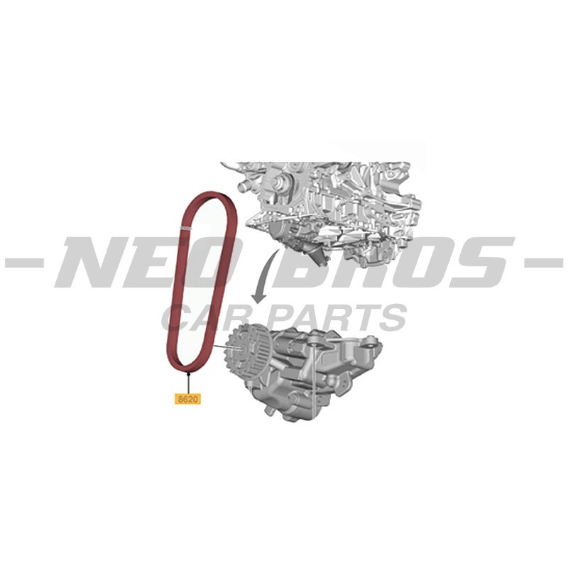 OE Oil Pump Belt, Ford Tourneo Custom 2.0 EcoBlue PANTHER 2011555