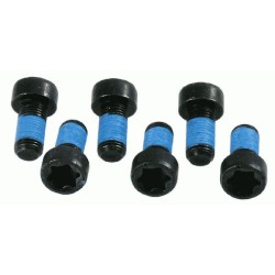 Sachs Flywheel Bolts