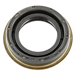 Transmission Seal