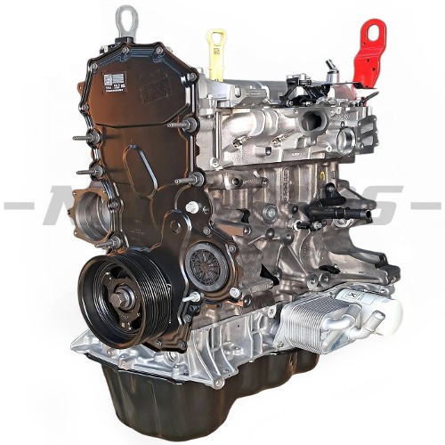 OE Engine, Ford Transit 22-24 2.0 EcoBlue Euro 6.2 RWD PANTHER 2761675
