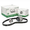 Genuine INA Engine Timing Belt & Water Pump kit Alfa Romeo, Fiat, Ford 530046230